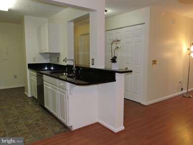 2056 Quaker Way unit 10, Annapolis, MD 21401 - photo 6