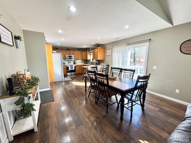 1407 Birch Creek Ct, Dexter, MO 63841 - photo 3