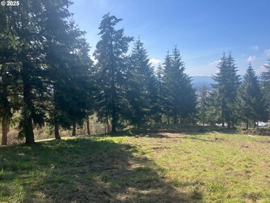 0 NE Center St unit 2 430429617, Sheridan, OR 97378 - photo 7