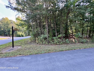 45 Clear Creek Dr, Boston, KY 40107 - photo 7