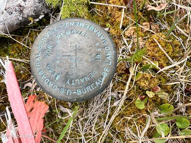 ASLS 79-251, Glennallen, AK 99588 - photo 4