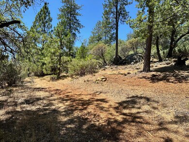 1870-Lot 406 E Summit View Dr, Meadow Vista, CA 95722 - photo 6