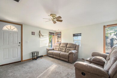 2934 W Front St, Buchanan, MI 49107 - photo 4