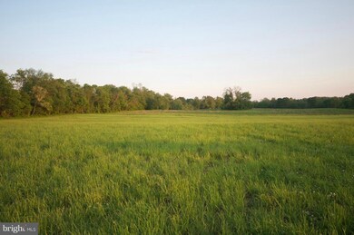 35679 Paxson Rd, Purcellville, VA 20132 - photo 3