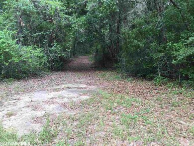 0 New Hope Church Rd, Robertsdale, AL 36567 - photo 6