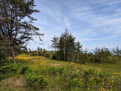 W12537 W Beach Rd, Naubinway, MI 49762 - photo 6