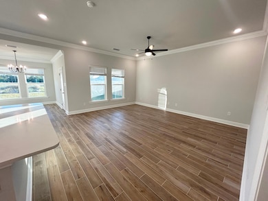 176 Natureview Way, Freeport, FL 32439 - photo 4