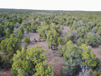 0 Cedar Creek Dr unit 224004, Aripine, AZ 85933 - photo 5