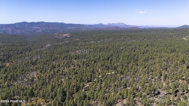 00 S Senator Hwy, Groom Creek, AZ 86303 - photo 4