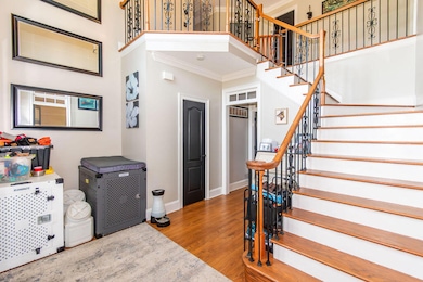 DSC_0527-Enhanced-NR