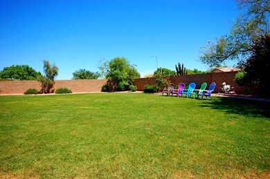 Backyard serenity