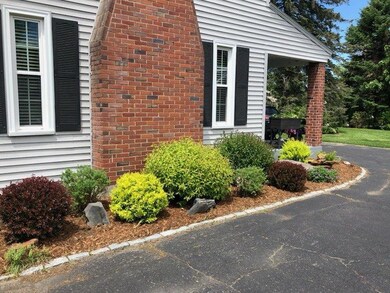 Summer Blooms