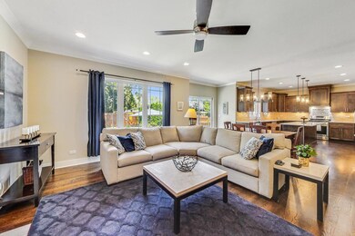 185 E Fremont Ave, Elmhurst, IL 60126 - photo 5