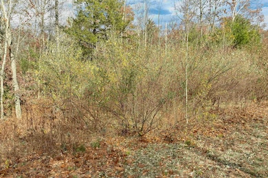 7 Lady Slipper Ln, Moultonborough, NH 03254 - photo 6