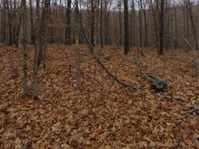 463977 Whitewater Ridge Rd, Proctor, OK 74457 - photo 7