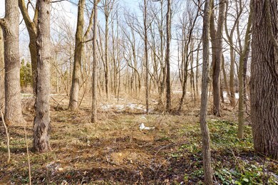 0 Nichols Rd, Kalamazoo, MI 49007 - photo 4