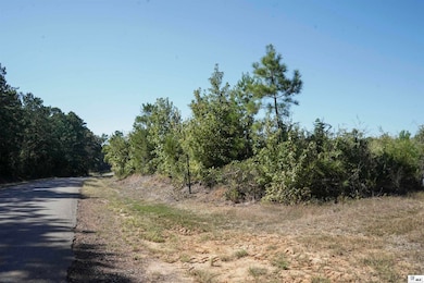 0A Anderson Rd, Choudrant, LA 71227 - photo 4