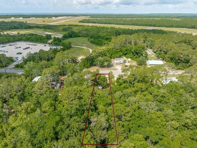 1093 Bluff Rd, Apalachicola, FL 32320 - photo 3