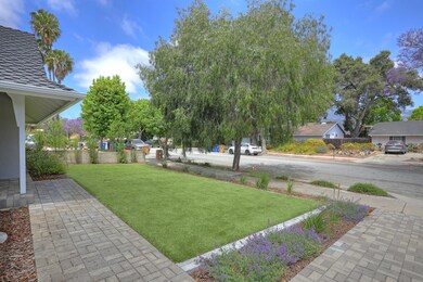 Front Garden