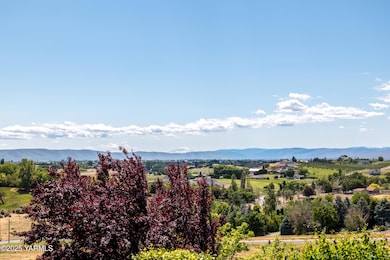 Mount Adams view