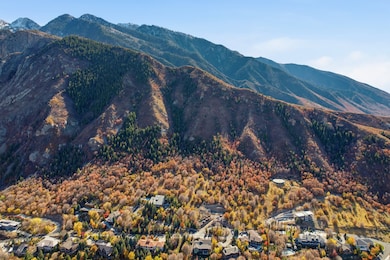 View of mountain background