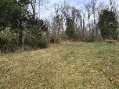 TBD Watauga Rd, Watauga, TN 37694 - photo 3