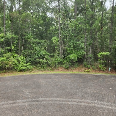 Right Edge of Lot