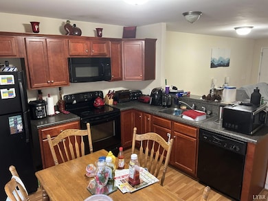 1810 Broadway St unit 216, Lynchburg, VA 24501 - photo 4