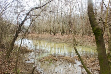 13 Clisby Rd, West Point, MS 39773 - photo 6