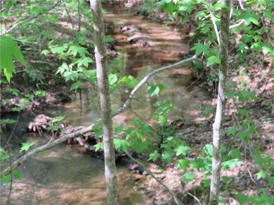 Lot 9 Ledbetter Ln, Walhalla, SC 29691 - photo 4