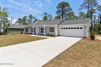 Sage - Craftsman Vinyl - 941 Pine Needle