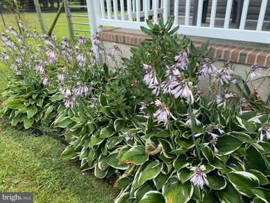 525 Coon Box Rd, Centreville, MD 21617 - photo 6