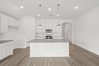 10304 Dittany Ln, Fort Worth, TX 76036 - photo 4