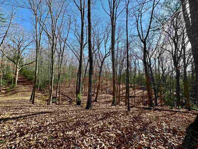 1258 Treetop Ridge Rd, Blacksburg, VA 24060 - photo 5