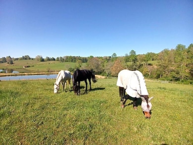 446 Good Neighbors Rd NE, Check, VA 24072 - photo 4