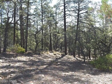 1675 S Pleasant View Dr, Show Low, AZ 85901 - photo 2