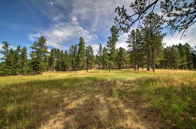 12236 Buffalo Ridge unit 12236 Buffalo Ridge, Custer, SD 57730 - photo 5