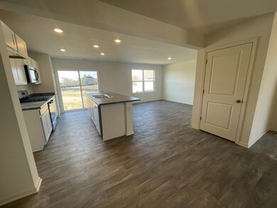 329 Monte Carlo Way, Joliet, IL 60436 - photo 4