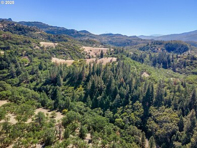 0 Colestin Rd unit 104385842, Ashland, OR 97520 - photo 7