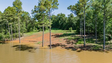 591 County Road 755, Nacogdoches, TX 75964 - photo 5