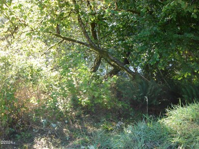 DSC00910