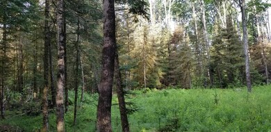 20190702_080003