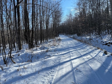 R6L9 Dickey Mills Rd, Avon, ME 04966 - photo 3