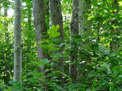 NEAR Hwy 86, Tomahawk, WI 54487 - photo 7