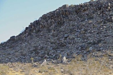 60321 Turtle Way, Joshua Tree, CA 92252 - photo 4