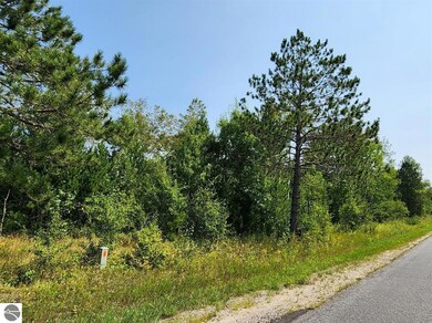 TBD Snowridge Trail, Elmira, MI 49730 - photo 4