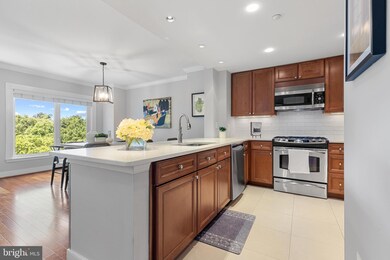 Residences at Park Place unit 532, Annapolis, MD 21401 - photo 4