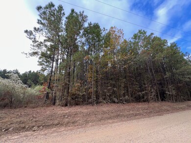 0 Sporsman Paradise Rd, Many, LA 71449 - photo 6