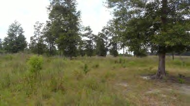 Additional View 3