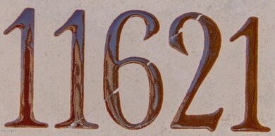 0027-Vogel (15)